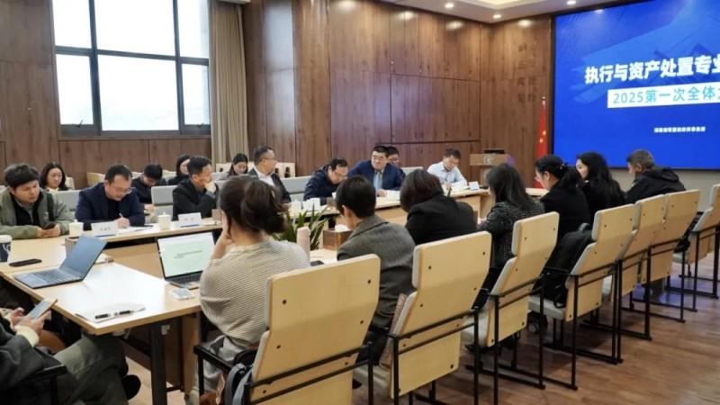 执行必达｜湘军麓和所执行与不良资产处置专业委员会成立大会圆满召开