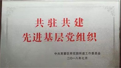 [喜报]麓和所党支部荣膺“共驻共建先进党组织”称号